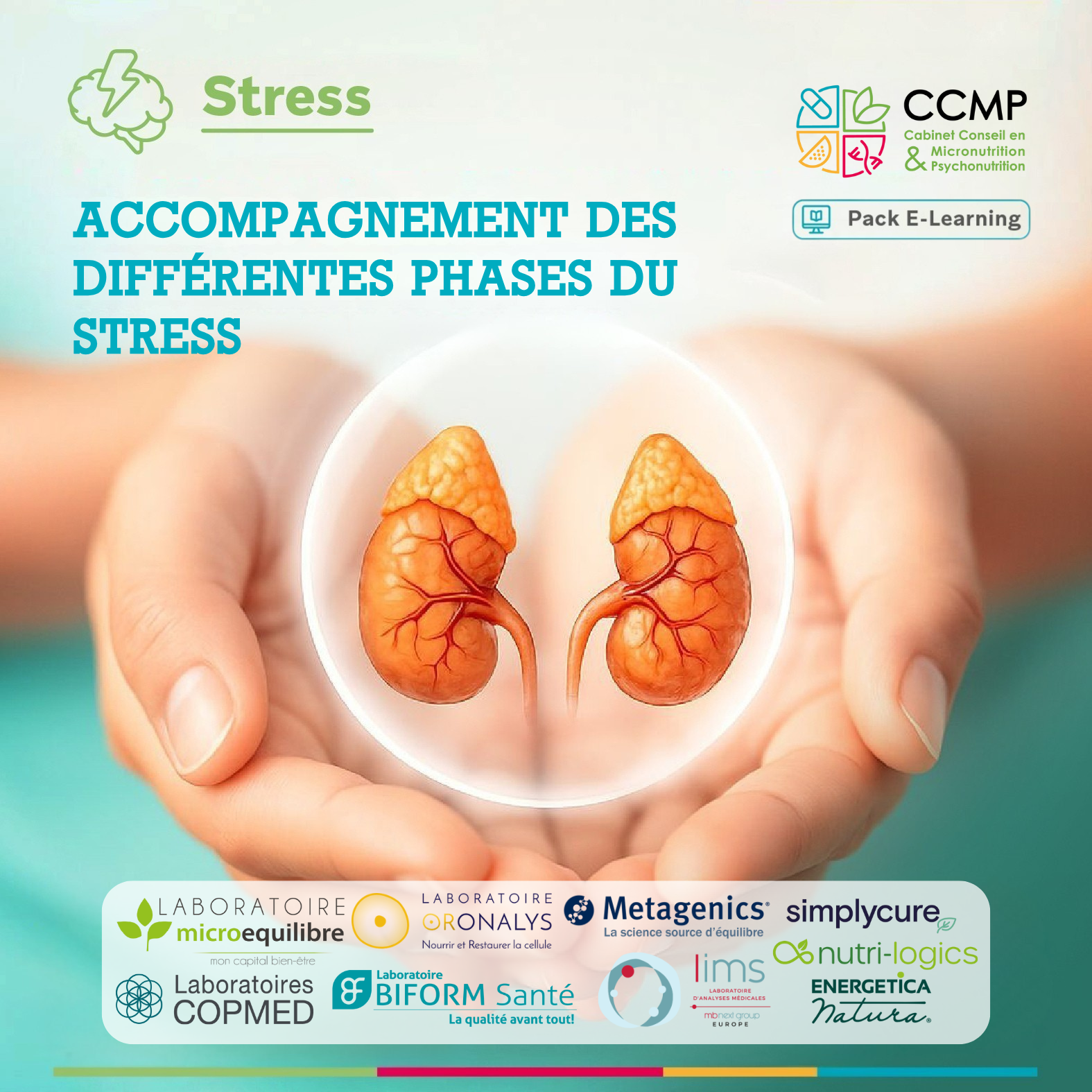 Accompagnement des différentes phases du stress