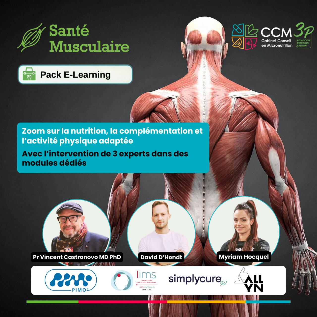 Santé musculaire